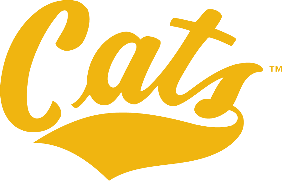 Montana State Bobcats 1995-2004 Wordmark Logo iron on transfers for T-shirts